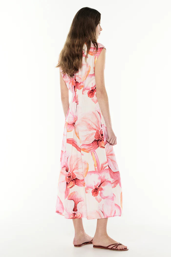 Still Life Midi Dress - Pink/Melon