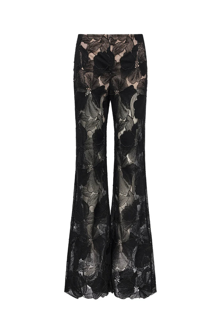Sheer Force Bootleg Pant - Black