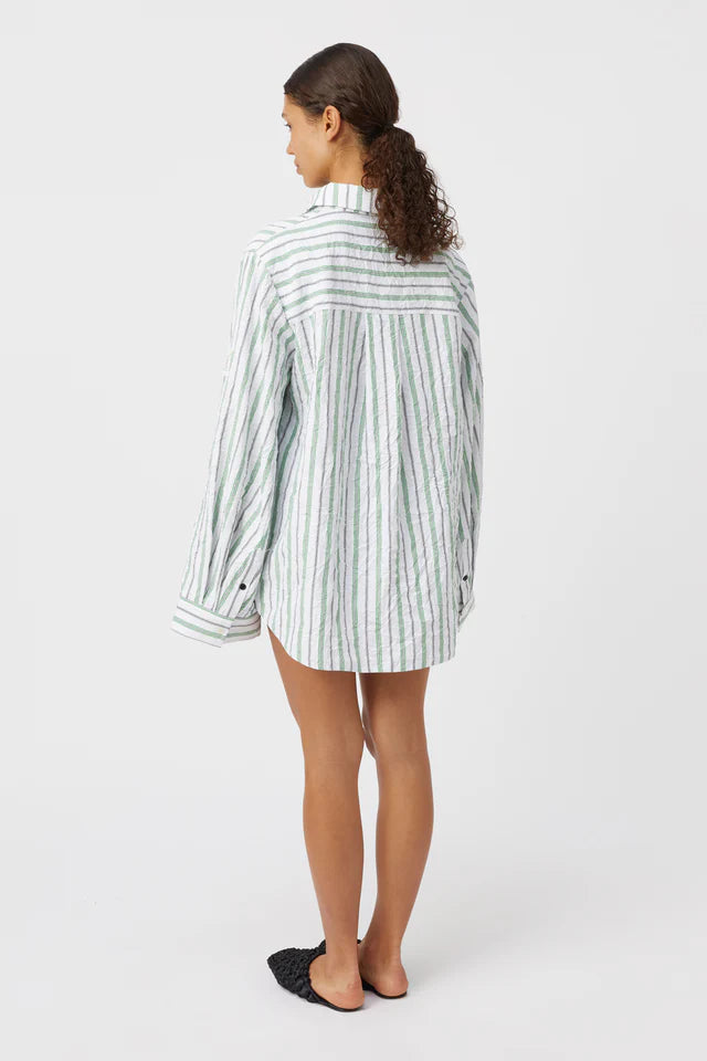 Pisces Shirt - Grass Green