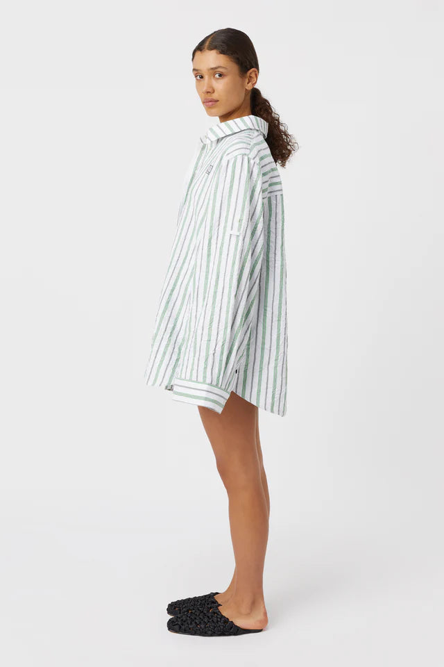Pisces Shirt - Grass Green