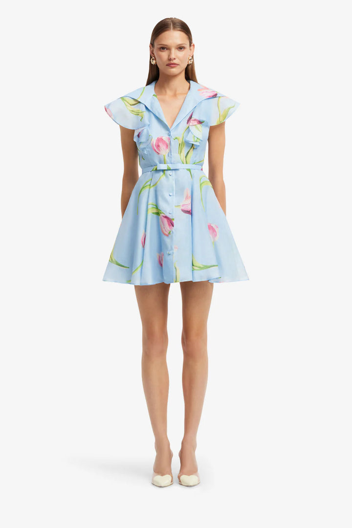 Isla Mini Dress - Tulip Print/Blue