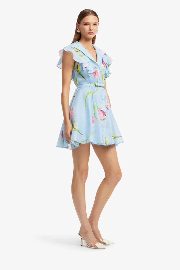 Isla Mini Dress - Tulip Print/Blue