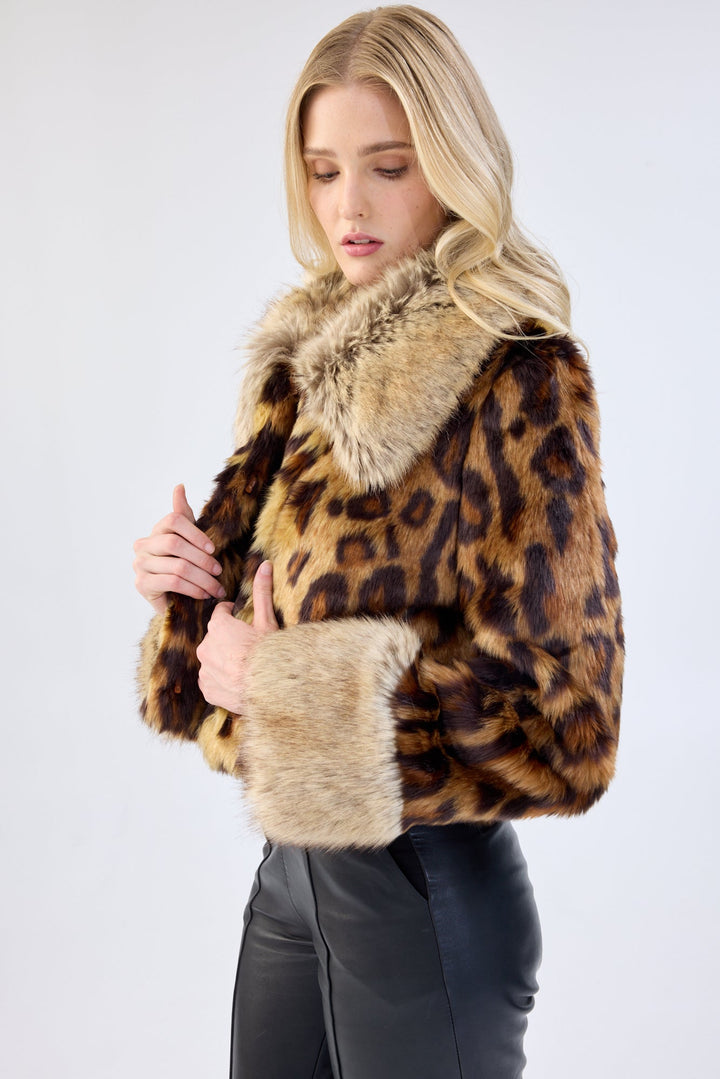 Hidden Tiger Jacket