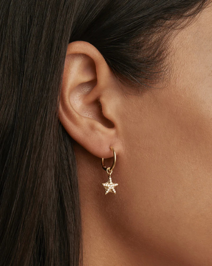 By The Sea Starfish Hoops - 18k Gold Vermeil