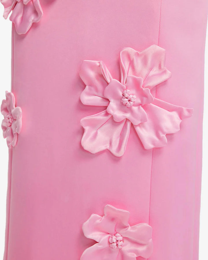 Lucinda Floral Applique Maxi Dress - Baby Pink