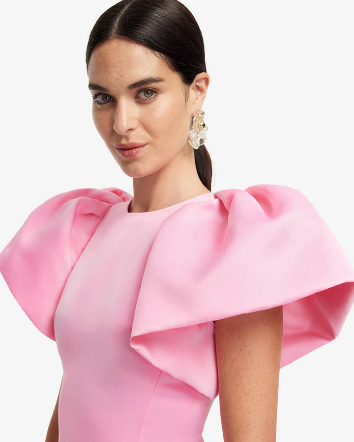 Lucinda Floral Applique Maxi Dress - Baby Pink