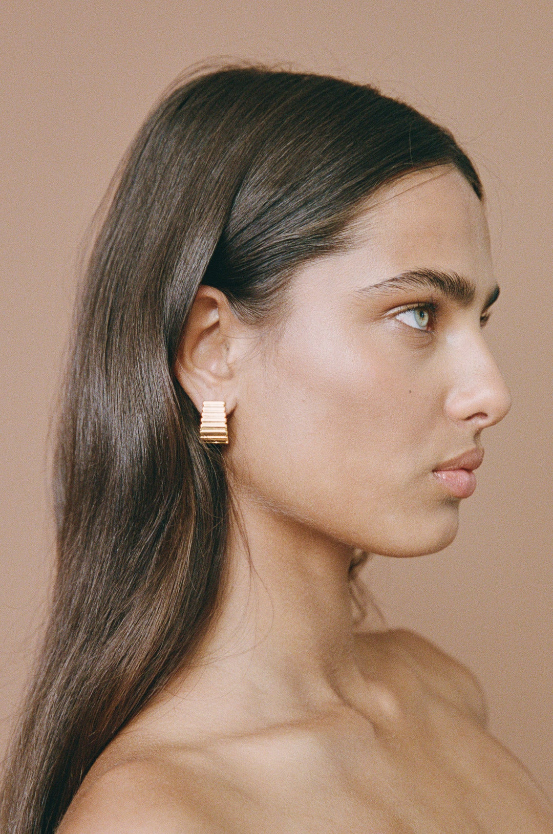 Turtle Earrings - Gold