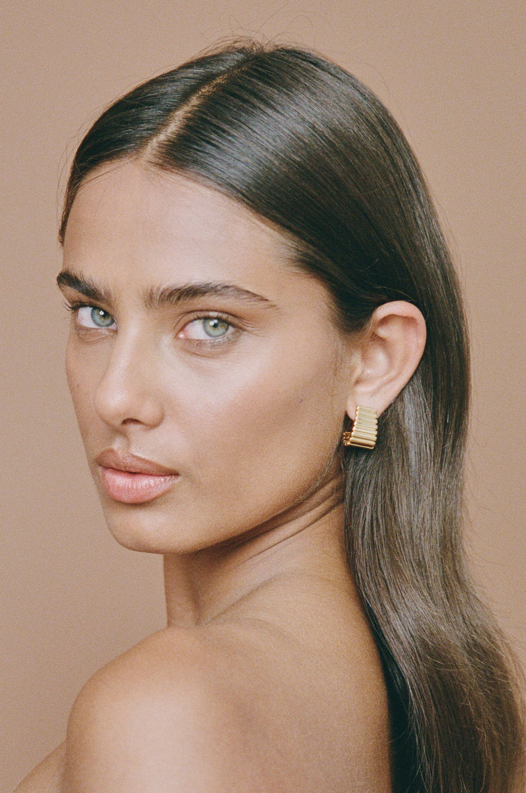 Turtle Earrings - Gold