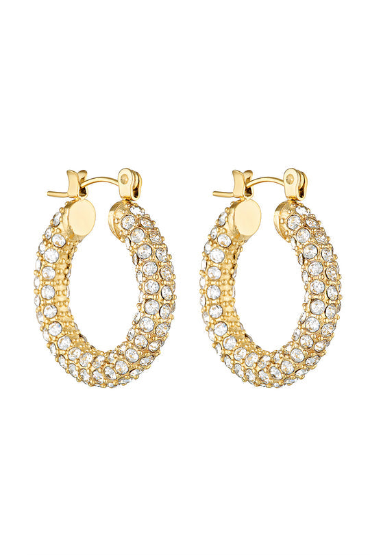 Paris Hoops